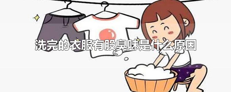 ϴ·йɳζʲôԭ