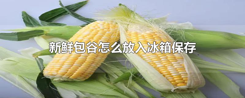 ʰô䱣