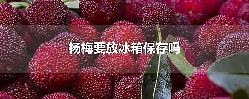 ÷Ҫű䱣