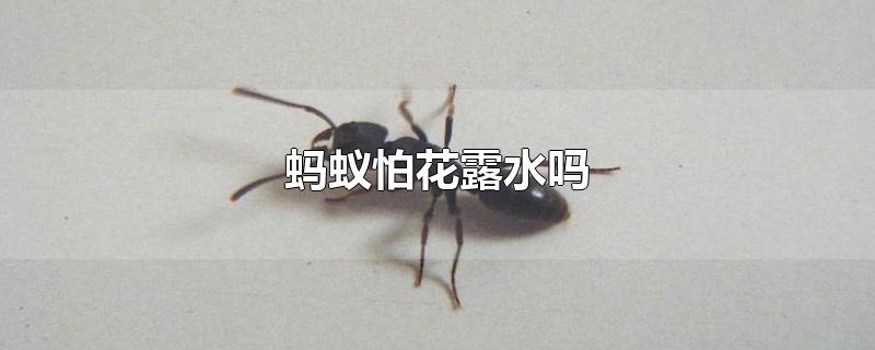 »¶ˮ