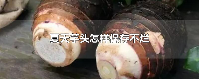 ͷ治