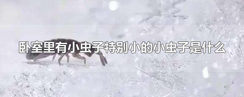 СرССʲô