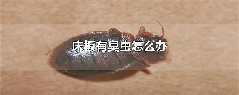 гô