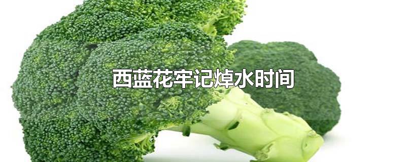 μˮʱ