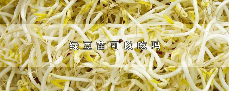 ̶Գ