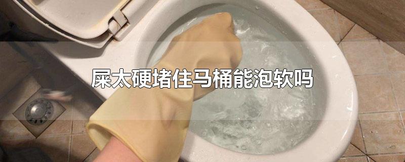 ʺ̫ӲסͰ
