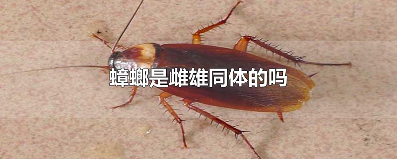 Ǵͬ