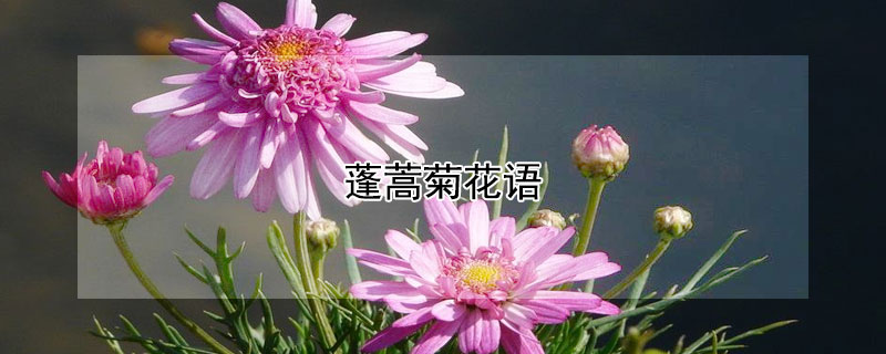 յĻʲôԢ⣩