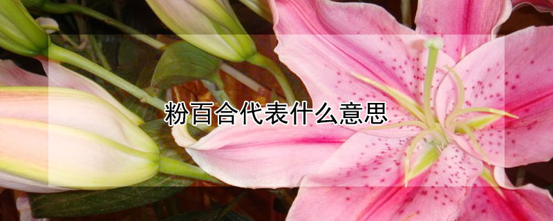 ۰ٺϴʲô˼۰ٺʲô