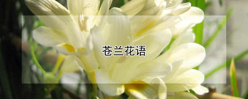 ʲôʲô