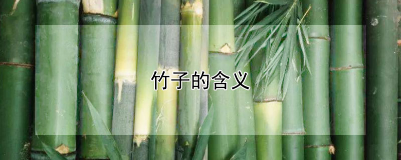 ӵĺ壨ӵԢ