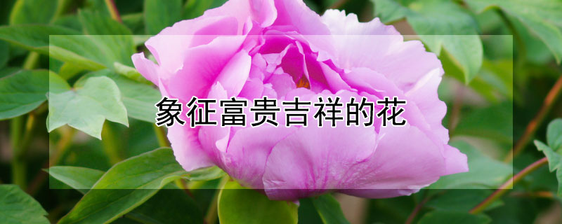 ĻĻЩ