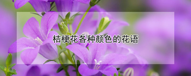 ۹ɫĻͬɫ۹Ļ