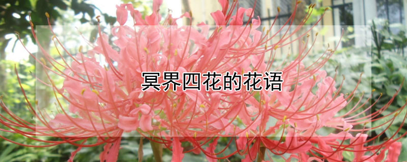 ڤĻĻڤĻЩ壩