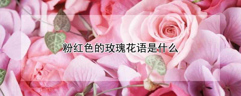 ۺɫõ廨ʲôۺɫõ廨ЩԢ⣩