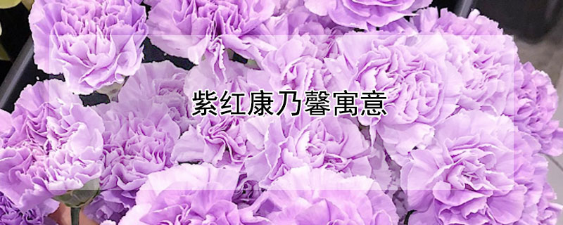 Ϻ쿵ܰԢ⣨Ϻ쿵ܰĻﺬ壩