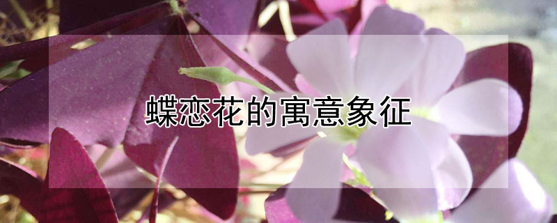 ԢʲôĸҵĹ