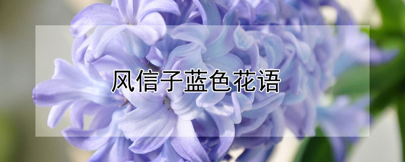 ɫɫʲôԢ⣩