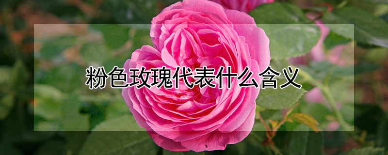 ɫõʲô壿õĻʲô
