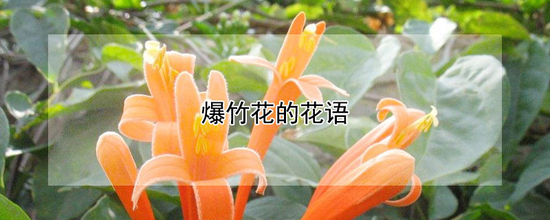 񻨵ĻʲôԢ⣿