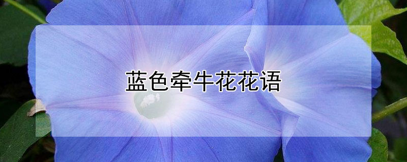 ɫǣţĻɫǣţЩԢ⣩