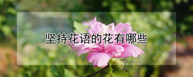 ֻĻЩ
