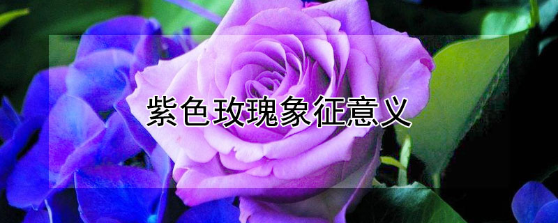 ɫõʲô壿ɫõʲôԢ⣿
