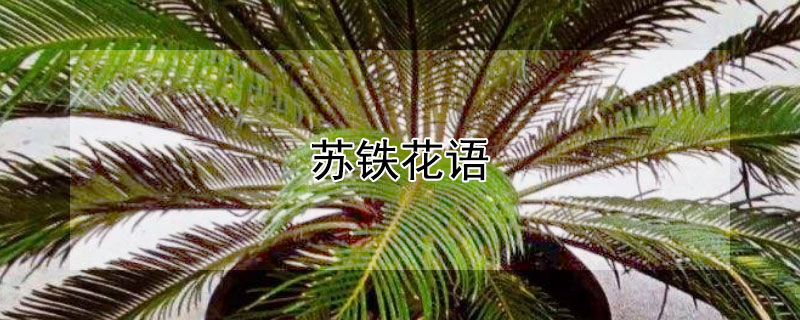 ĻԢ