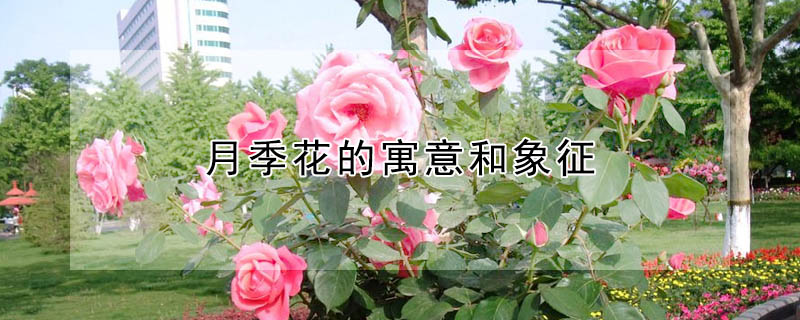 ¼Ԣ¼ʲô壿