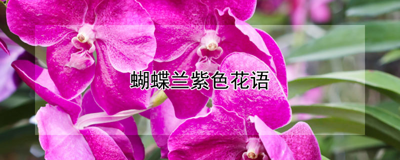 ɫ