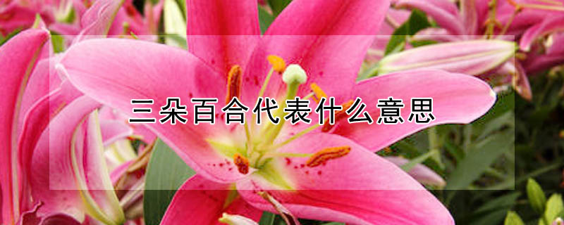 ٺϴʲô˼