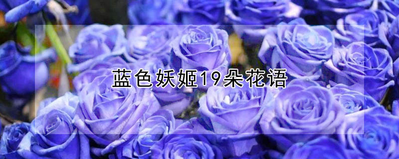 ɫ19仨