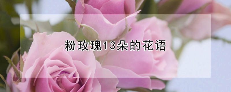 õ13Ļõ13ʲôԢ⣿