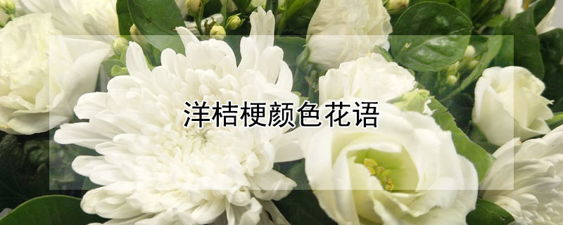 ۹ɫ۹ɫʲôԢ⣿