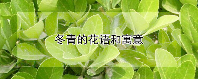 ĻԢ