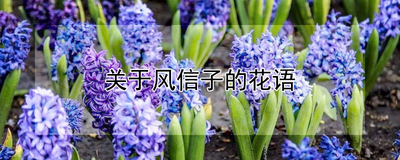 ڷӵĻӵĻʲô