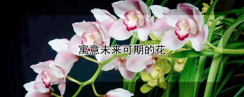 ԢδڵĻЩԢδڵĻֻܣ
