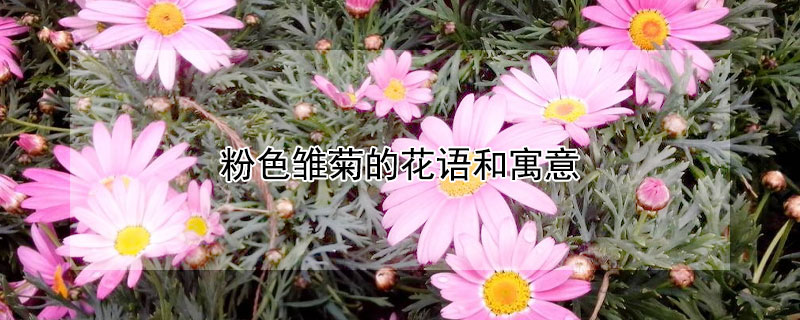 ɫյĻԢ⣨ɫЩ