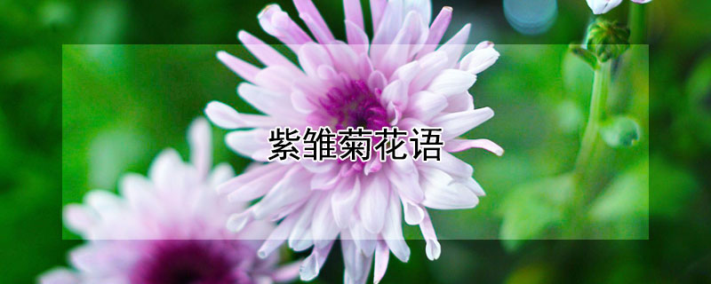 ϳջϳʲôԢ⣩