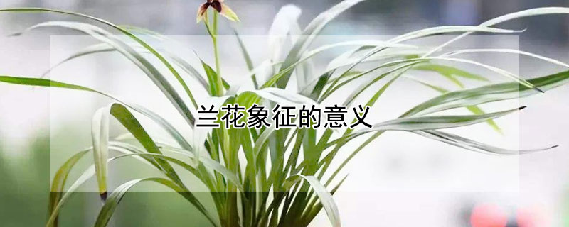 壨ʲôԢ⣩