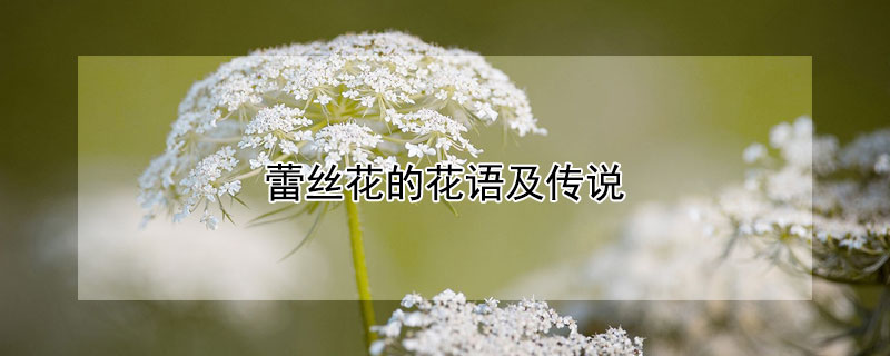 ˿ĻＰ˵ʲô˿ֽʲô