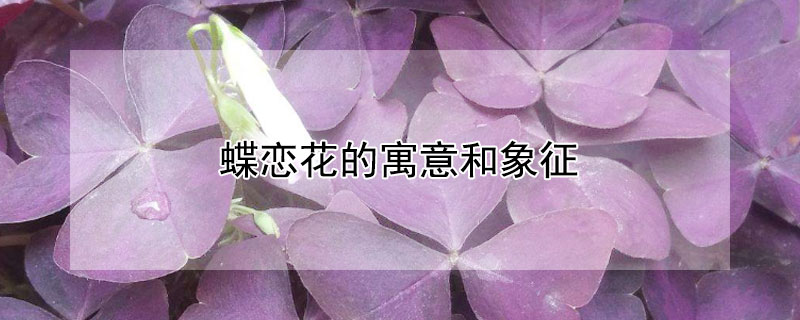 ԢʲôĻ