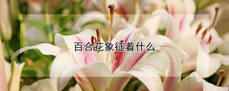 ٺϻʲôٺϻʲôԢ⣿