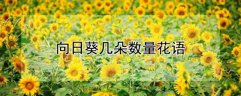 տտͬĻﺬ壩