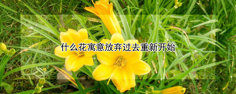 ʲôԢȥ¿ʼ