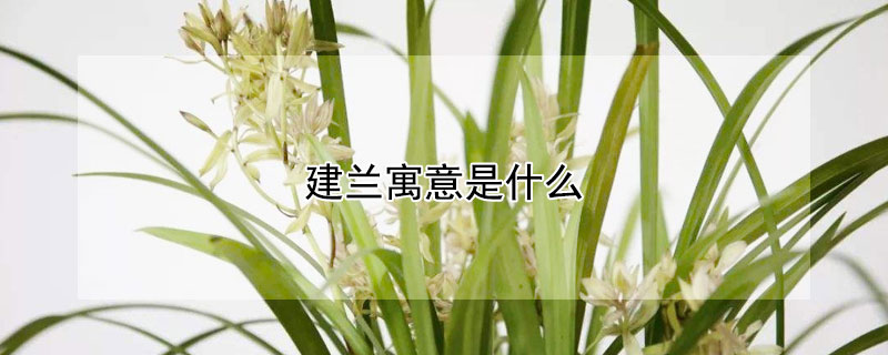 Ԣʲôʲô