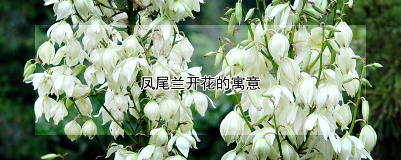 βԢʲô壿