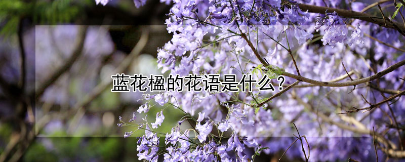 麵Ļʲôʺ͸ʲôˣ