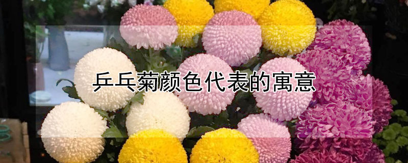 ƹҾɫԢʲôƹҾյɫֱʲô