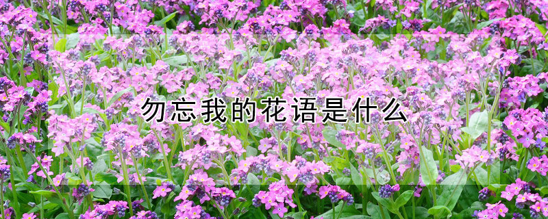ҵĻʲô